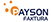 We Accept - Payson Faktura